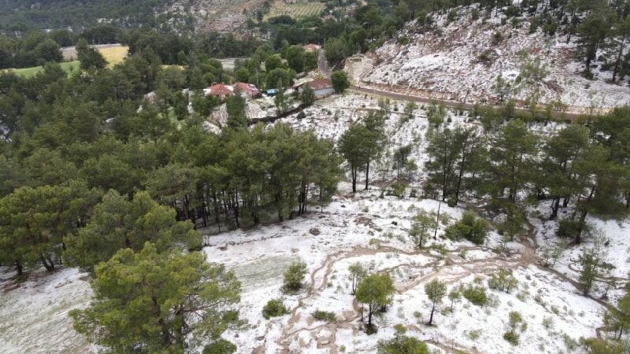 Denizli’de Dolu Felaketi: Üreticiler Destek Bekliyor!